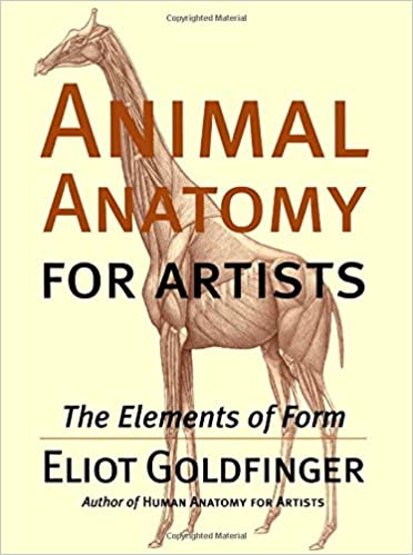 Animal anatomy for artists : the elements of form